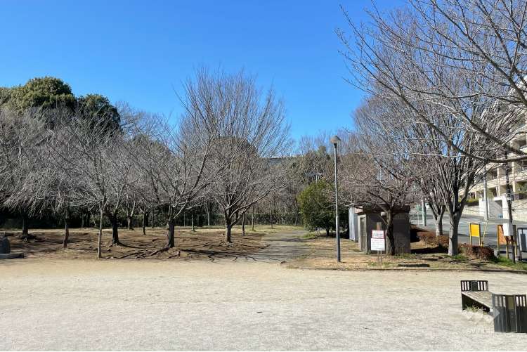宮前美しの森公園の写真