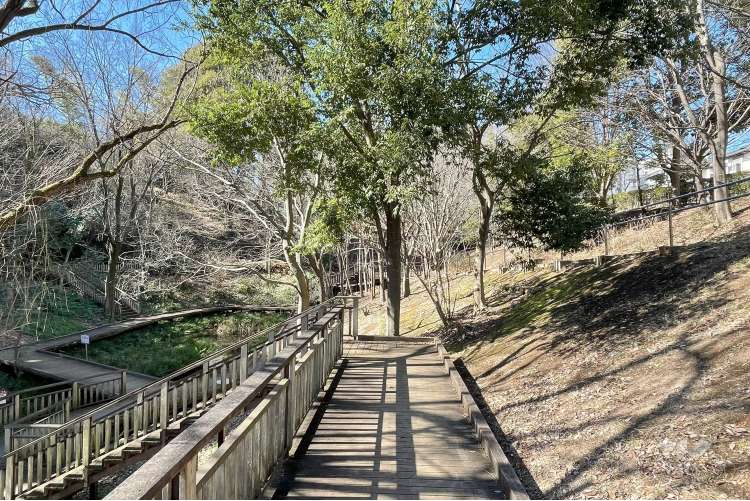 宮前美しの森公園の写真