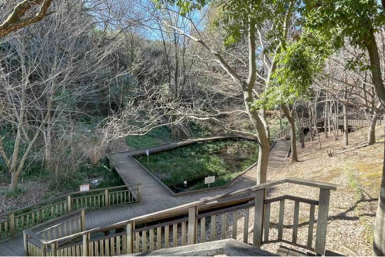 宮前美しの森公園の写真