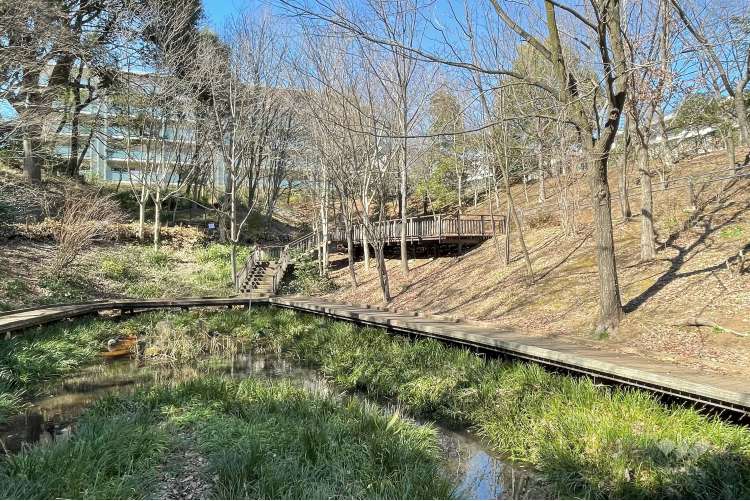 宮前美しの森公園の写真