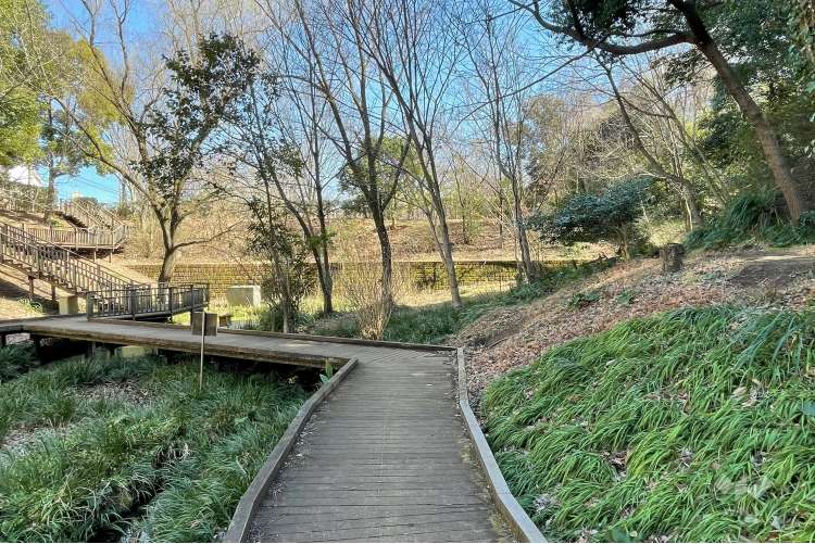 宮前美しの森公園の写真