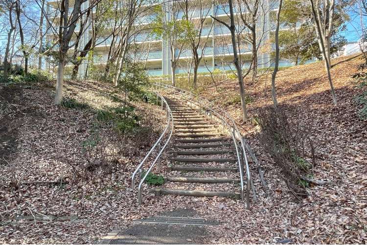 宮前美しの森公園の写真