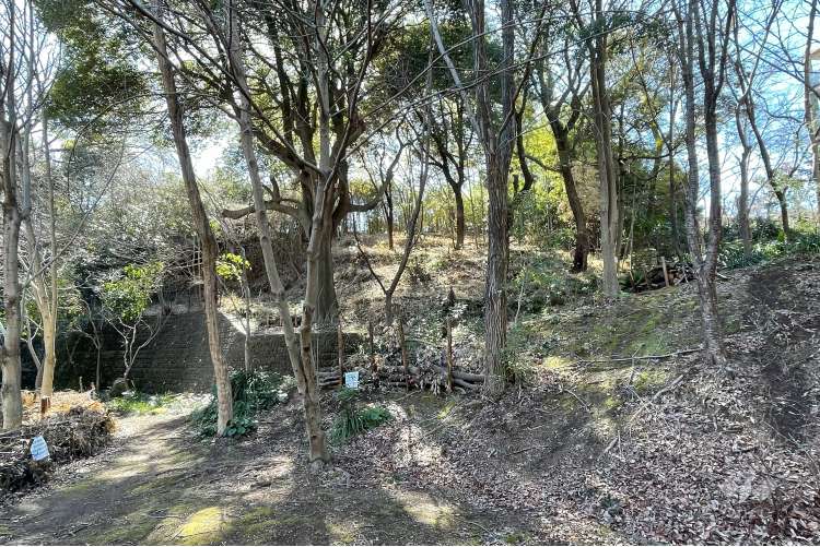 宮前美しの森公園の写真