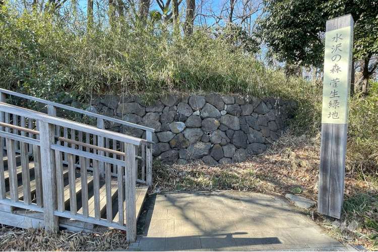 菅生緑地西地区 水沢の森の写真