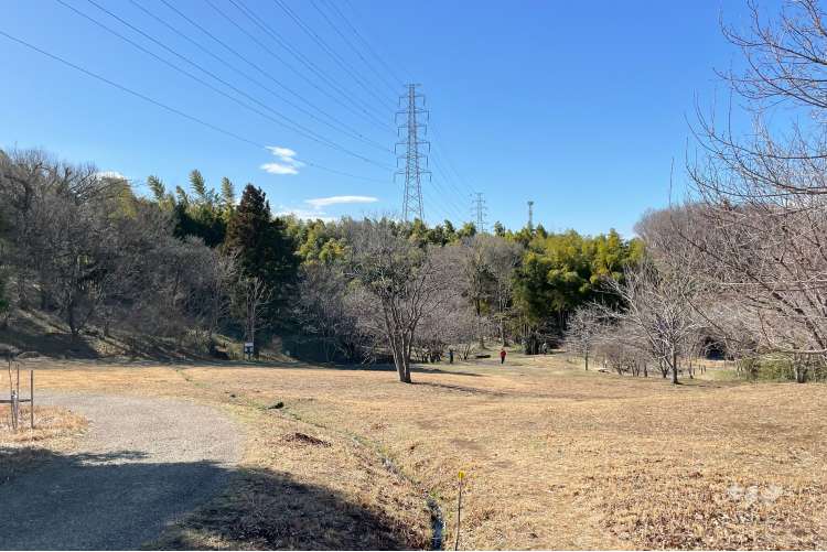 菅生緑地西地区 水沢の森の写真