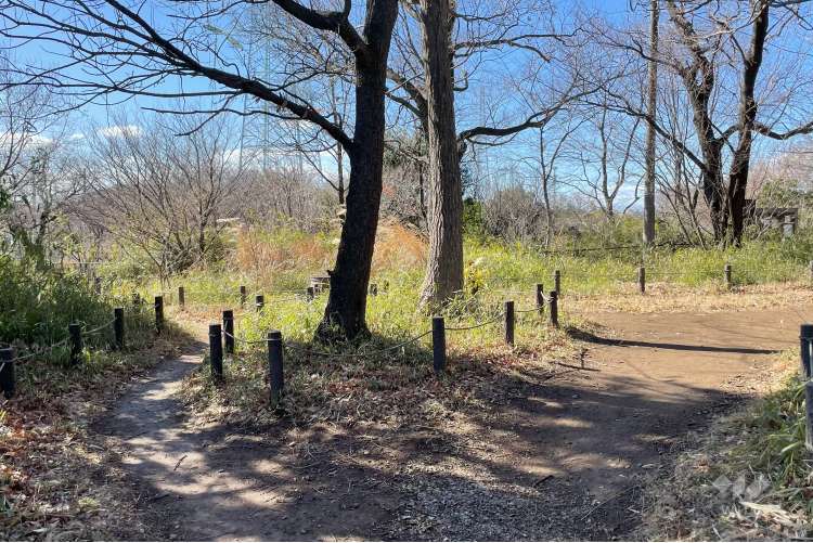 菅生緑地西地区 水沢の森の写真