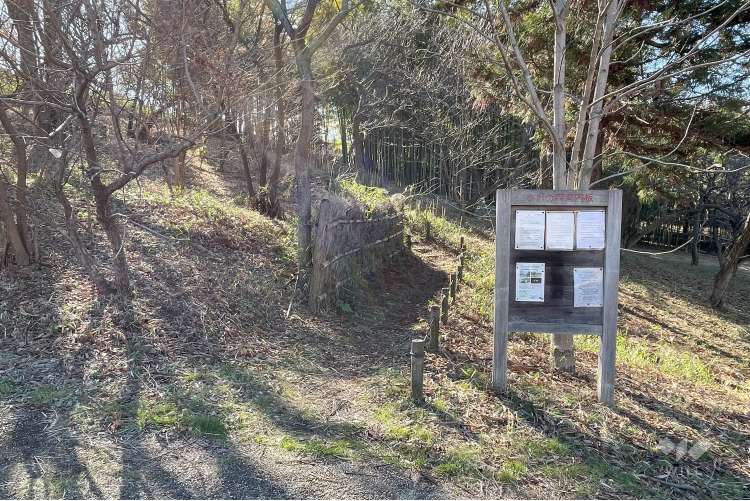 菅生緑地西地区 水沢の森の写真