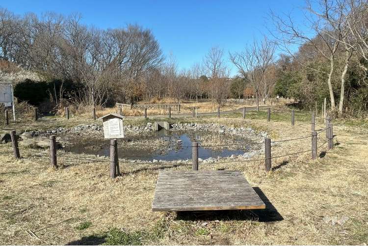 菅生緑地西地区 水沢の森の写真