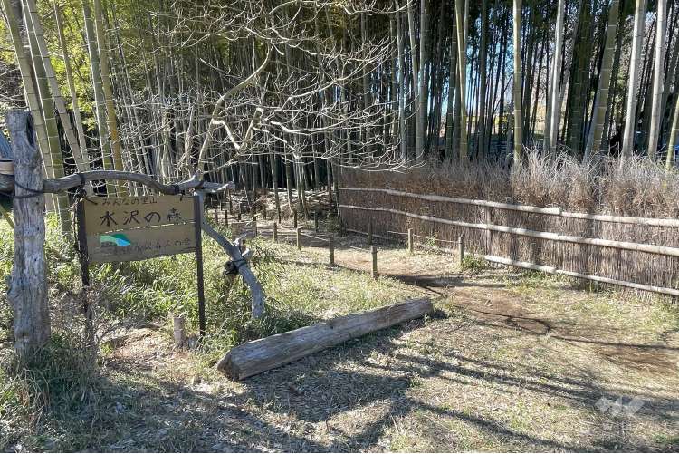 菅生緑地西地区 水沢の森の写真
