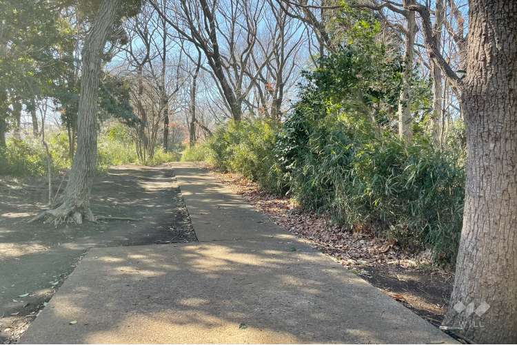 菅生緑地東地区の写真