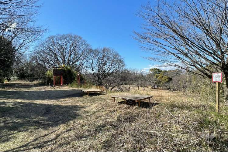 菅生緑地東地区の写真