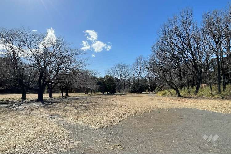 菅生緑地東地区の写真
