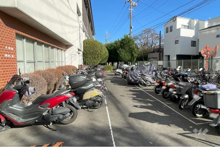 聖マリアンナ医科大学体育館の写真