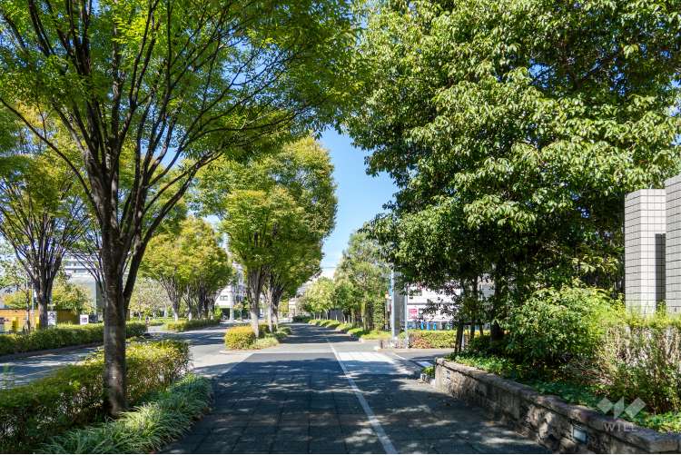 ナゴヤセントラルガーデンの写真