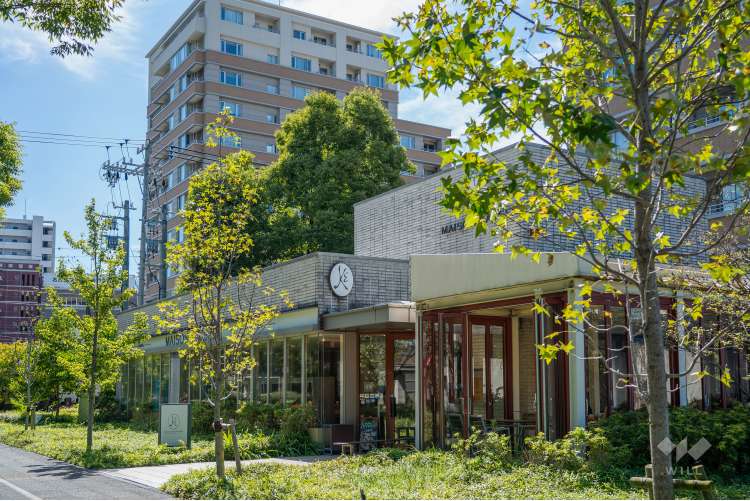 ナゴヤセントラルガーデンの写真