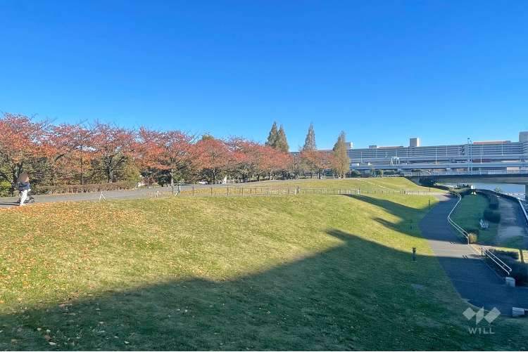 瑞光橋公園の写真