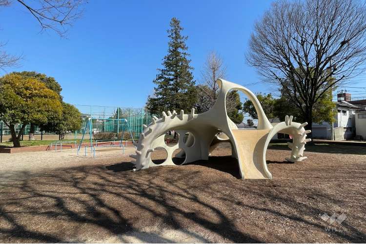 入谷中央公園の写真