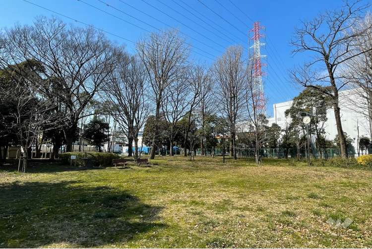 入谷緑地公園の写真