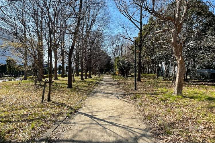 入谷緑地公園の写真