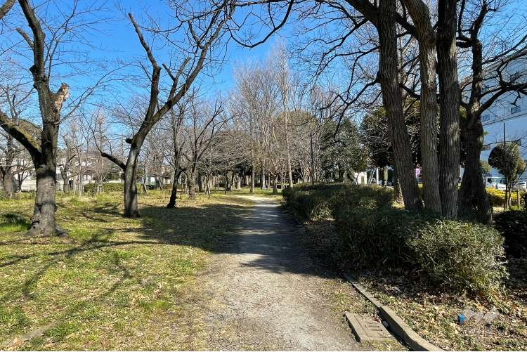入谷緑地公園の写真