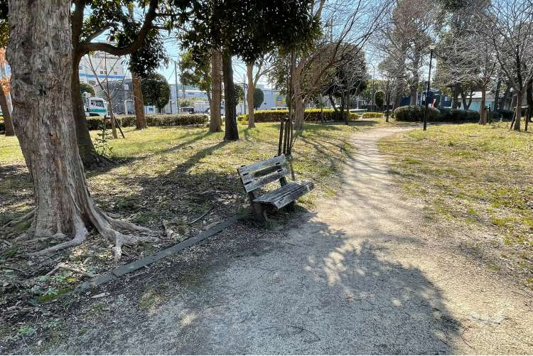 入谷緑地公園の写真