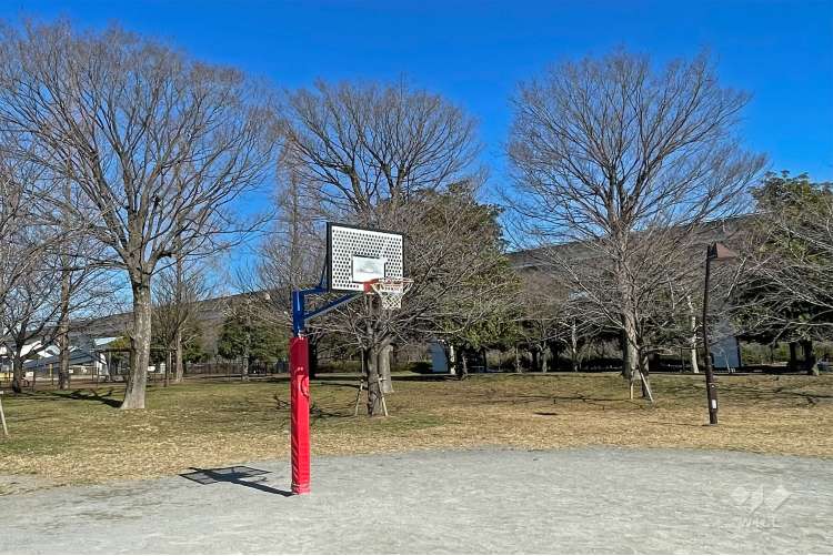 舎人公園の写真