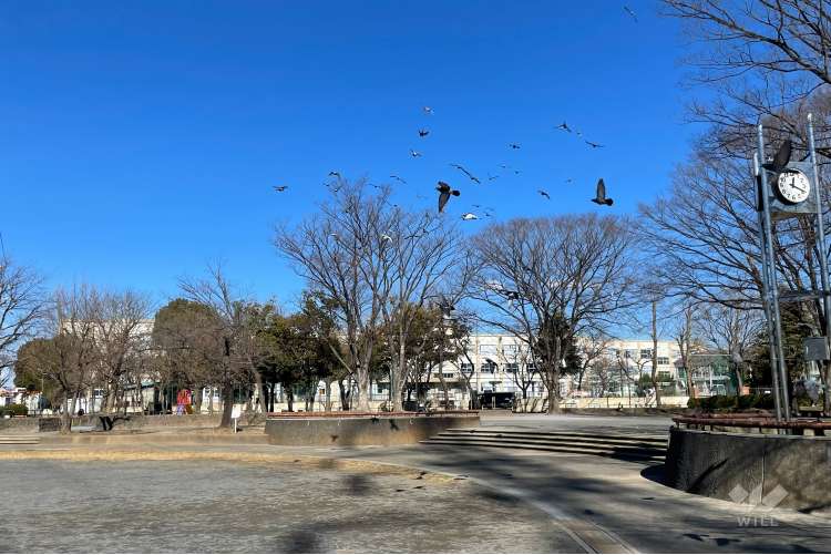 谷在家公園の写真
