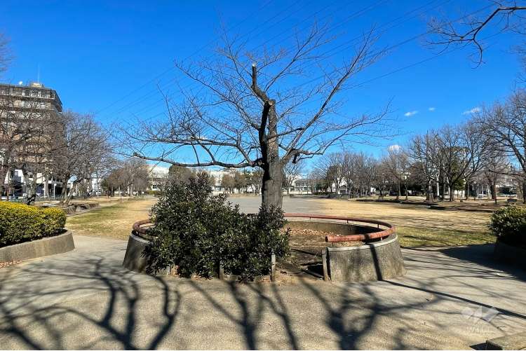 谷在家公園の写真