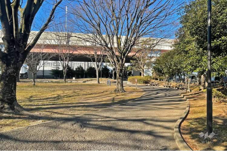 江北公園の写真