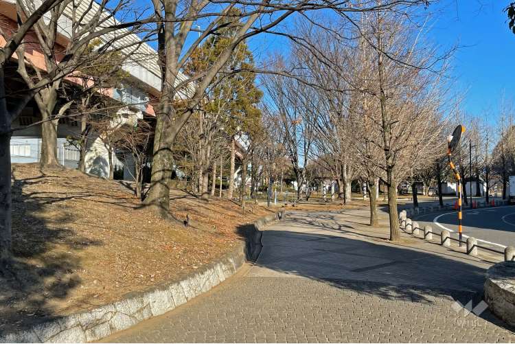 江北公園の写真