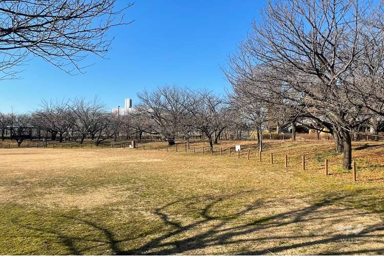 都市農業公園の写真