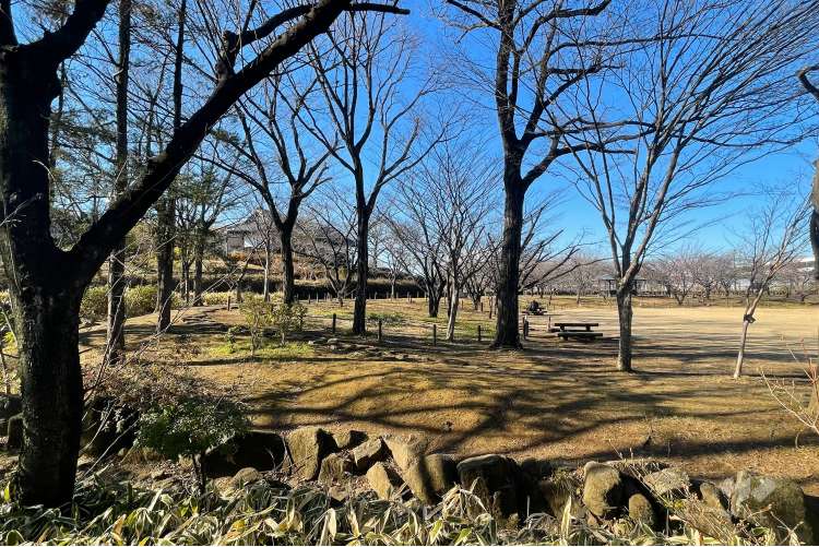 都市農業公園の写真