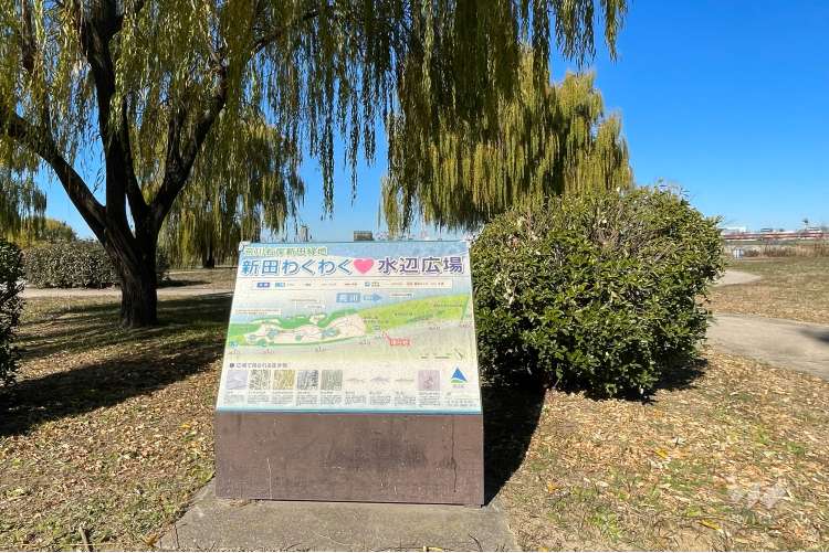 新田わくわく水辺広場公園の写真