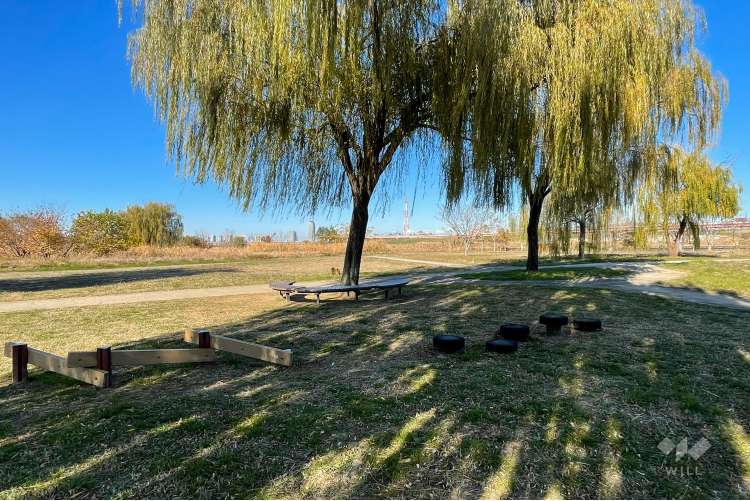 新田わくわく水辺広場公園の写真