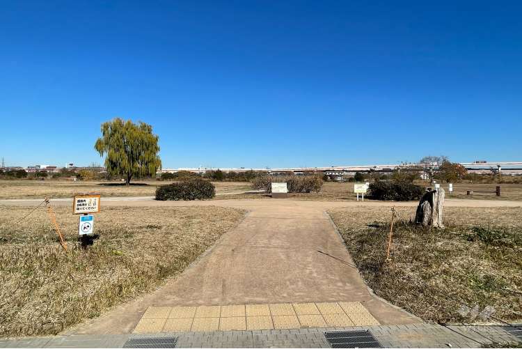 新田わくわく水辺広場公園の写真
