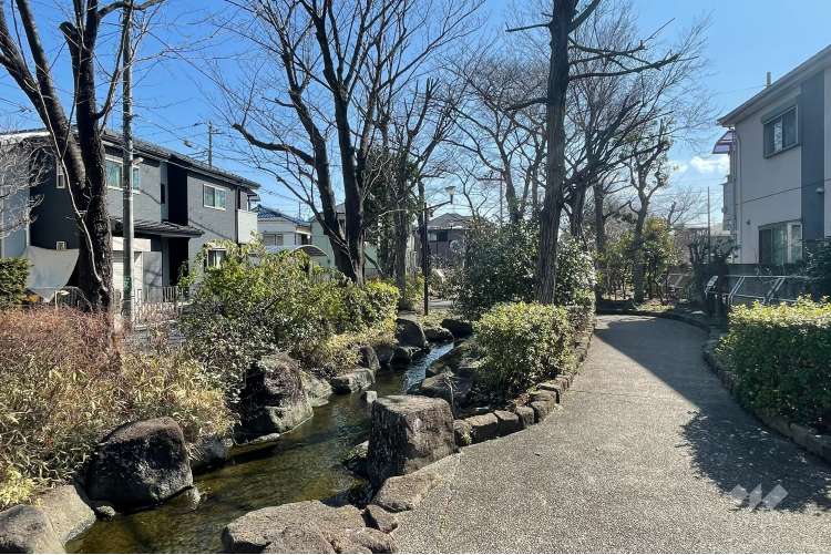 見沼代親水公園の写真