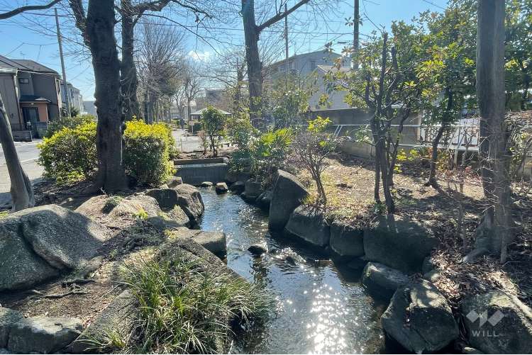 見沼代親水公園の写真