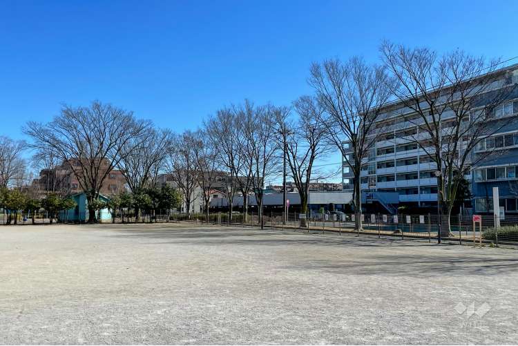 諏訪木西公園の写真