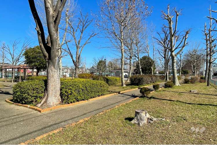 諏訪木西公園の写真