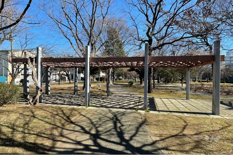 諏訪木東公園の写真