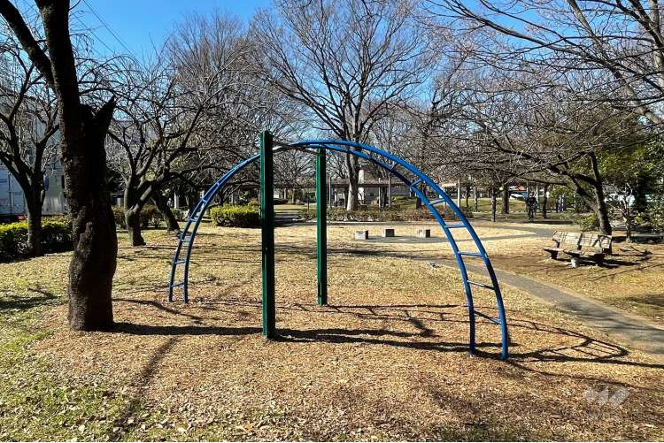 諏訪木東公園の写真