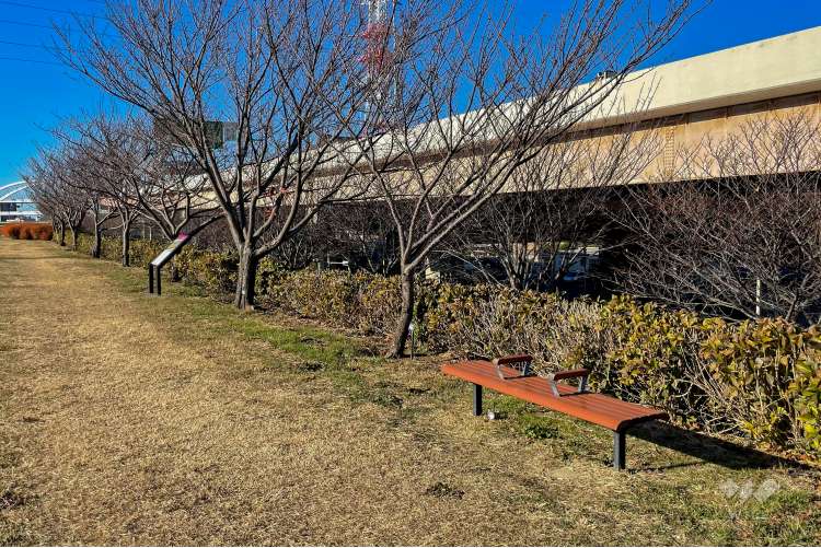 荒川江北橋緑地の写真