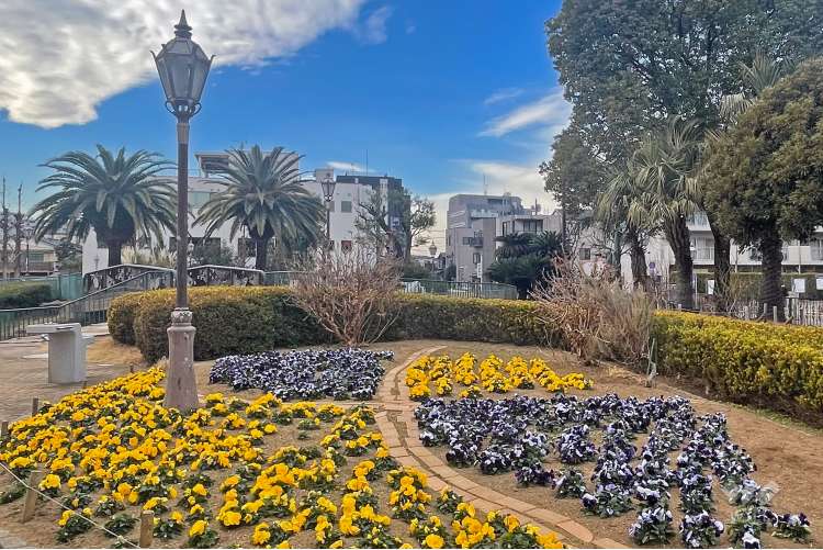 ベルモント公園の写真