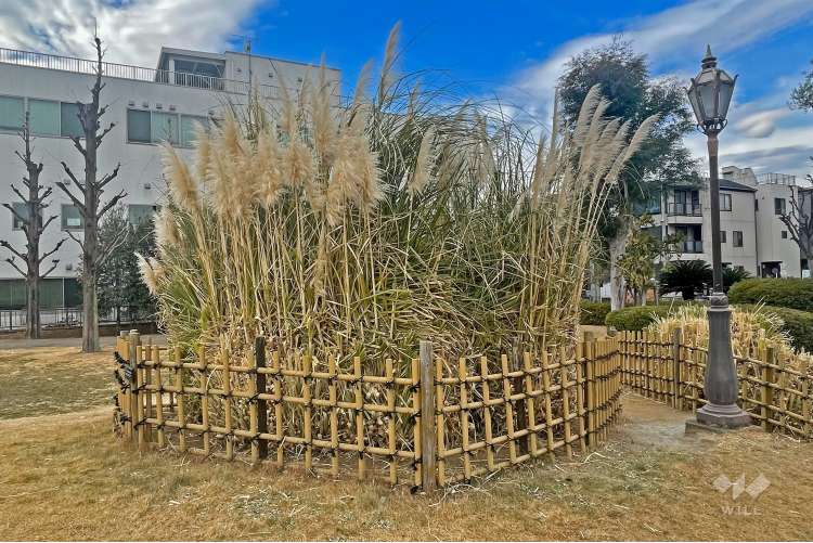 ベルモント公園の写真