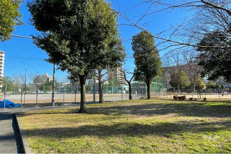 保木間公園の写真