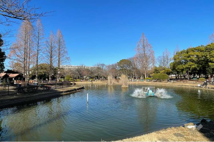 元渕江公園の写真