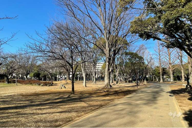 元渕江公園の写真