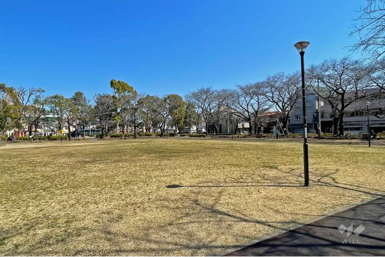 花畑公園の写真