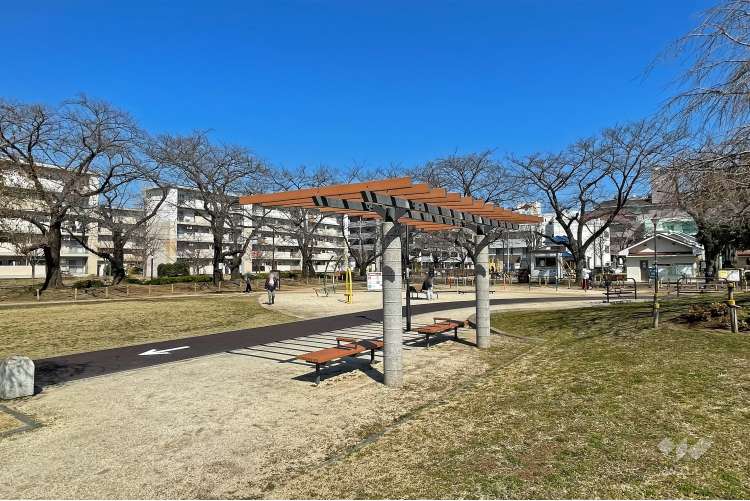 花畑公園の写真