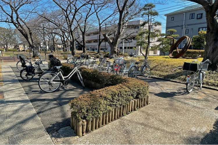 花畑公園の写真